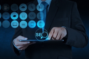 SEO Consultant SEO Consultant